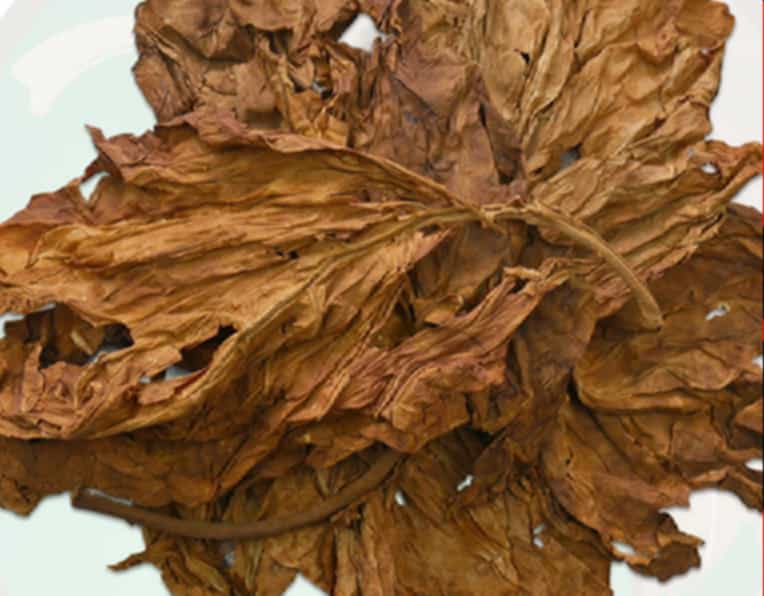 Close-up view of air-expanded tobacco stems